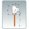 Zawór ciśnieniowo - termiczny P/T AKE - 3/4 cala